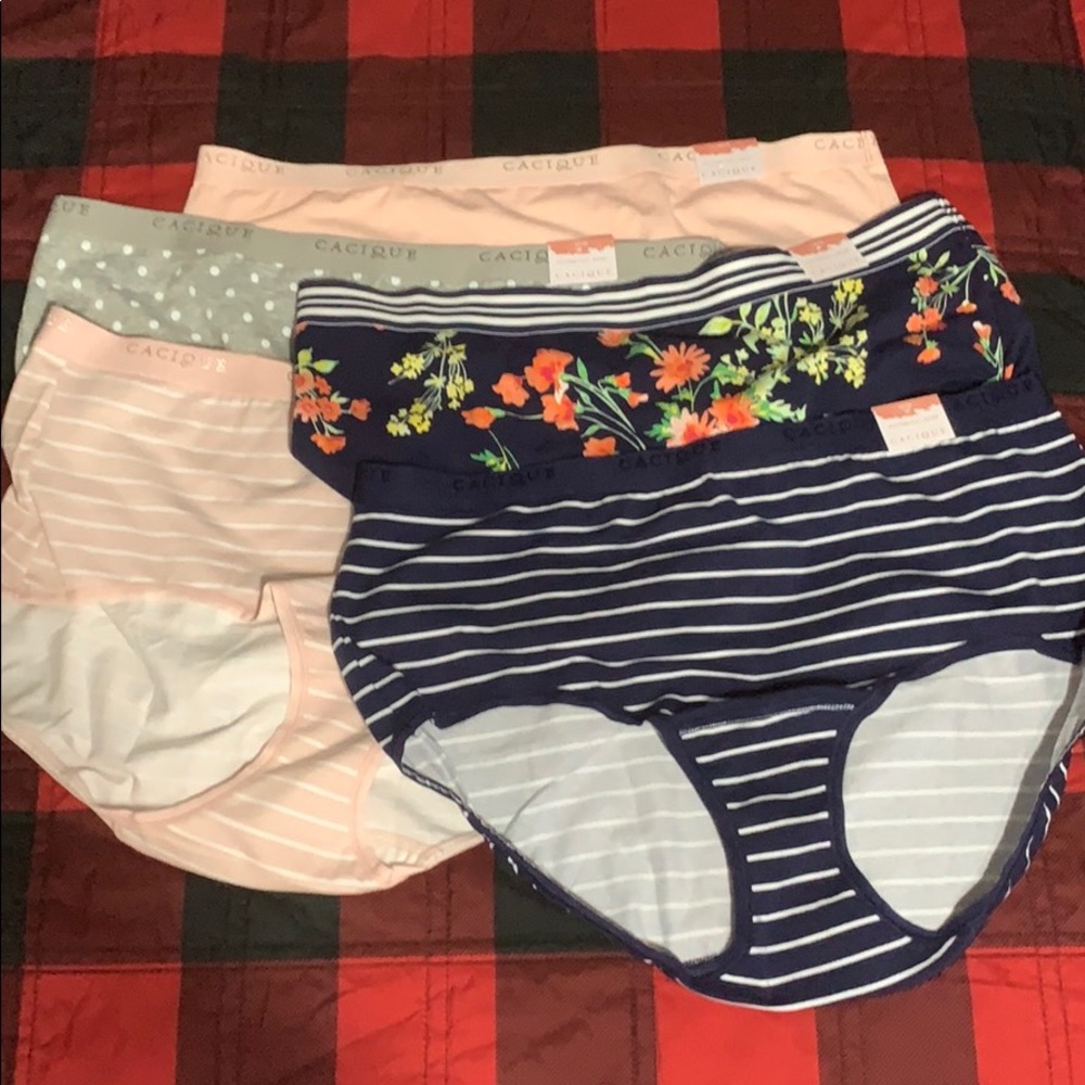 Lane Bryant size 141/16 high-leg brief